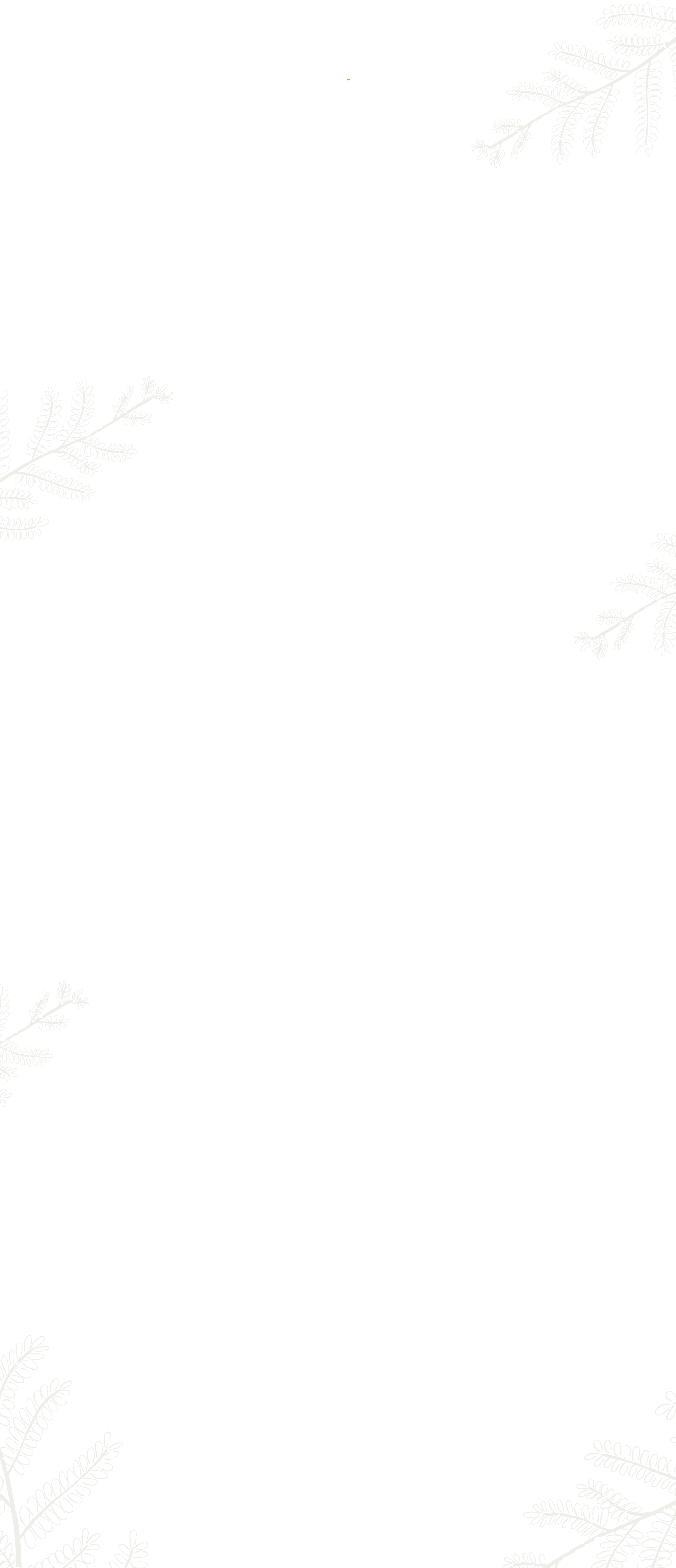 прокат квадрациклов в Джазаторе