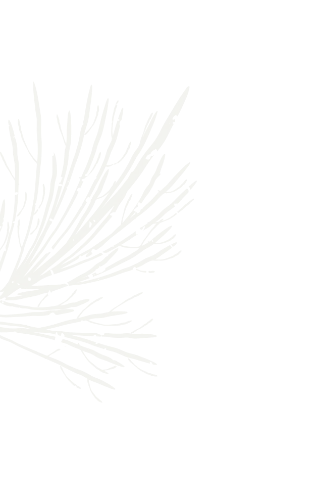 прокат квадрациклов в Джазаторе